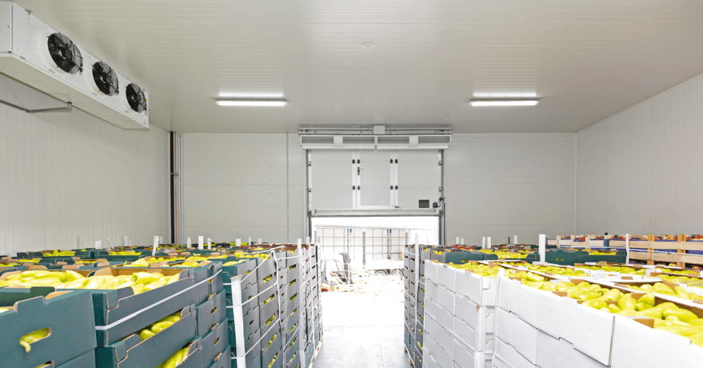 Why Temperature Tracking Is Essential for Produce Storage and Transportation