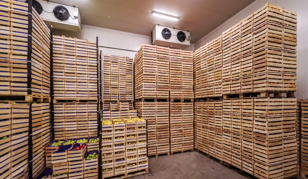Grocery Transportation: Why Regulations are Key to Preventing Spoilage