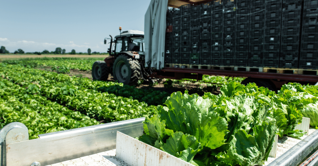 produce repacking