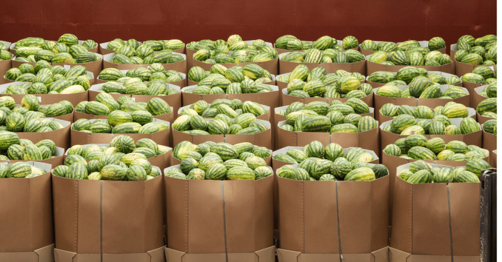 produce selection 01