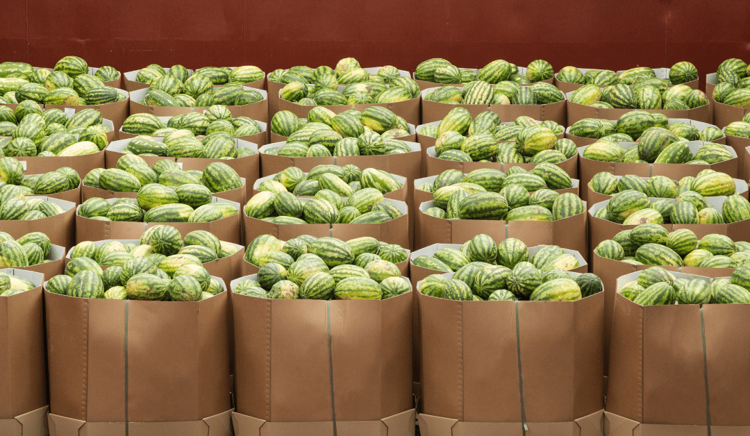 produce selection 01