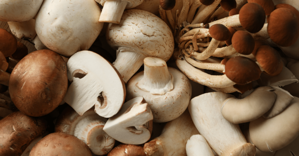 mushroom